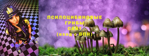 сатива Кодинск