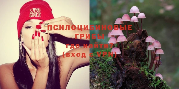 сатива Кинешма